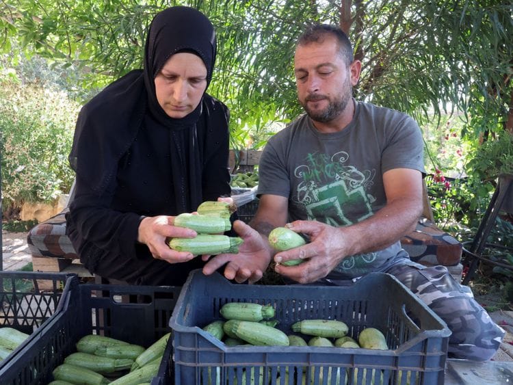 Copy of 2022-06-12T063600Z_104253274_RC2PNU93H1CA_RTRMADP_3_LEBANON-CRISIS-FAMILY-FARM [1]-1655038285113
