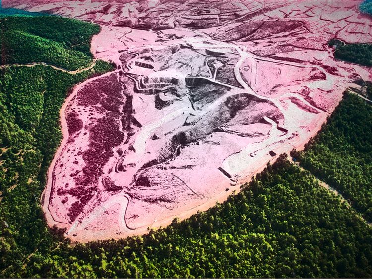 OPN Deforestation