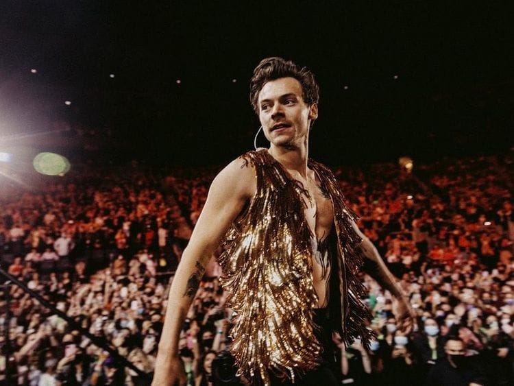 Harry Styles 1-1655807687576