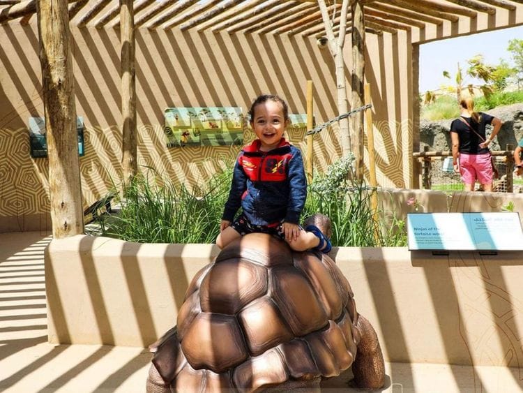 220623 Sharjah Safari