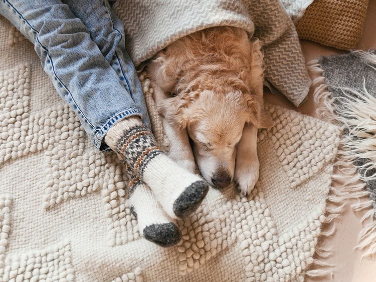 hygge