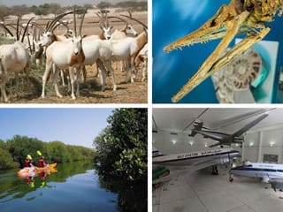 Sharjah in summer 2022: 9 cool spots to visit with kids 