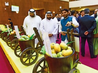 Pictures: Pakistan Mango Festival brings joy to communities in Dubai  