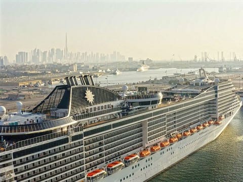 Cruise liners like the one pictured and superyachts are what the new shipyard operated by Dubai Drydocks World in Montenegro will be aiming for when it opens later in the year.