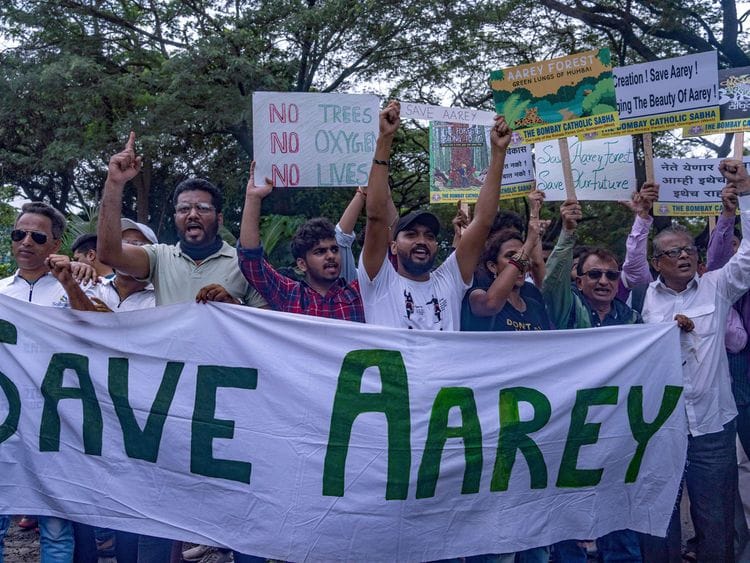 Aarey protest