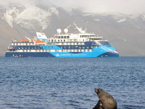 A four-member team of Antarctica explorers from the UAE is shocked by unprecedented events during their expedition