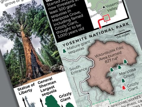 Wildfire threatens world’s largest trees