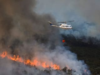 Europe heatwave: France, Spain, Portugal battle deadly wildfires amid intense heat – in pictures