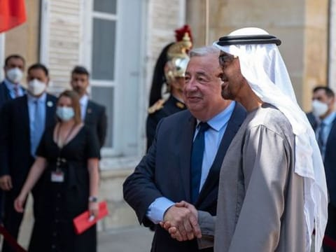 Watch: UAE President meets President of Senate of French Republic 