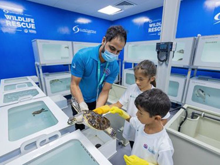 national-aquarium-summer-camp-1658743779116