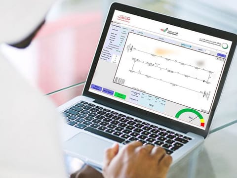  All information is collected through advanced software from several data sources such as peak load, SAP system and other databases. It includes several features such as automated calculations and archiving them electronically.