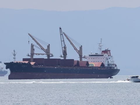 The Turkish bulk carrier OSPREY S, Liberian-flagged cargo ship, is seen anchored off the shore of Tuzla in Istanbul, Turkey August 4, 2022. 