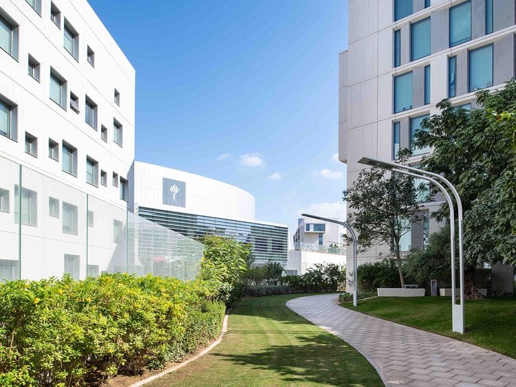 NYU Abu Dhabi