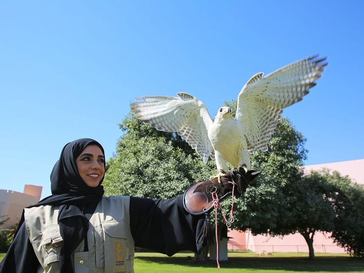 AL AIN ZOO 1-1661536857402