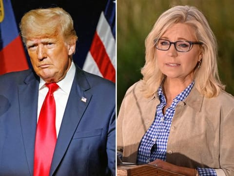 Donald Trump and Liz Cheney