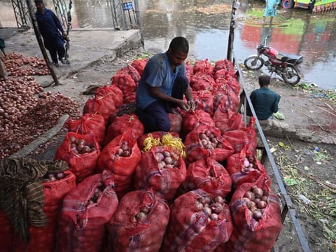 A labourer stitches sacks of onions in the main market of Lahore on August 29, 2022, amid a big hike in prices of food items in the wake of massive floods in Pakistan.  