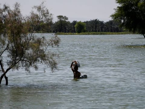 A flood victim wades through flood water, following rains and floods during the monsoon season in Bajara village, Sehwan, Pakistan, on August 31, 2022. 