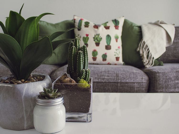 Living room from pexels.com