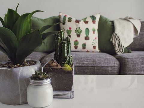 60 per cent of a main colour, 30 per cent of a secondary colour and 10 per cent of an accent colour is a tried-and-tested rule.