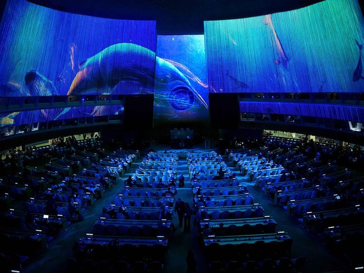 220919_UNGA_SDG_Moment_Expo_-_Whale-1663674238924