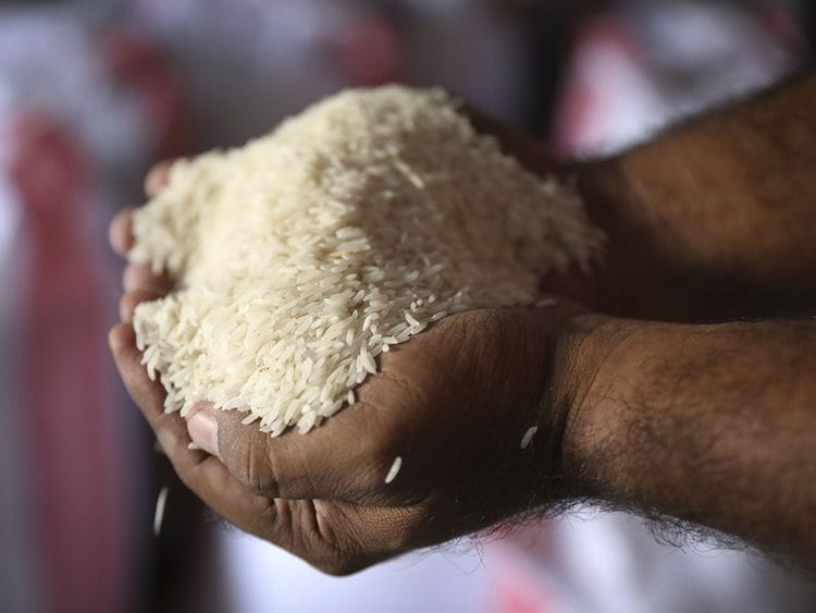 Stock - Rice