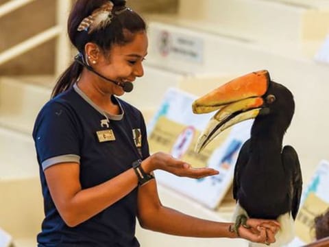 Watch: Dubai Safari Park reopens on September 27
