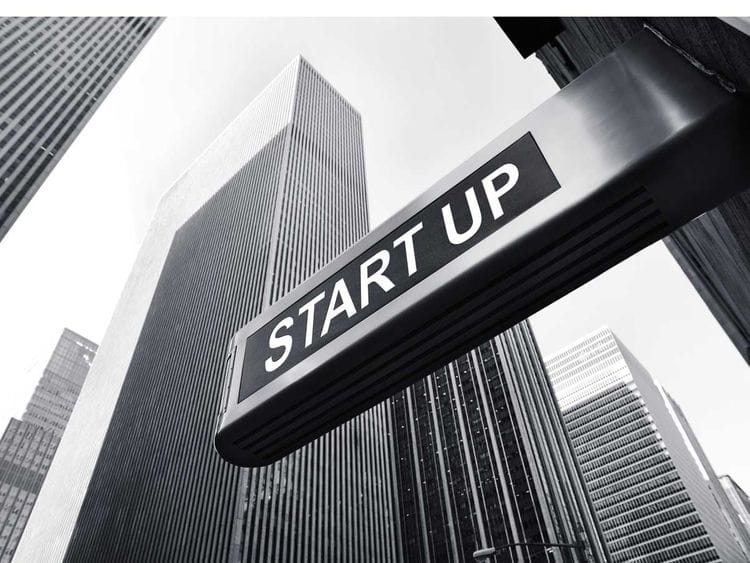 Lead_free zone entrepreneurs 