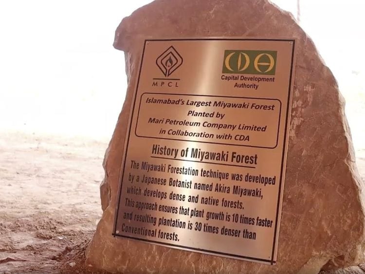CDA developing Islamabad’s largest Miyawaki Forest. 