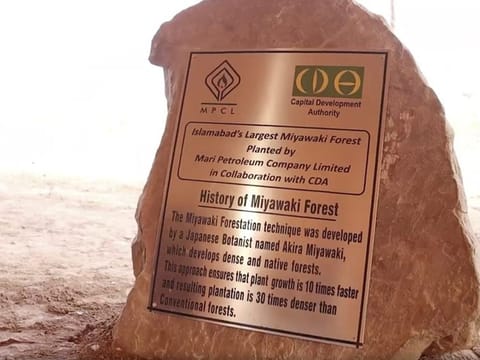 CDA developing Islamabad’s largest Miyawaki Forest. 