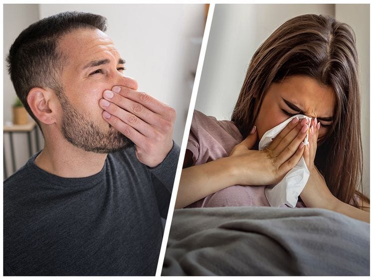 Smell disorder