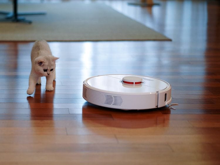 robot vacuum