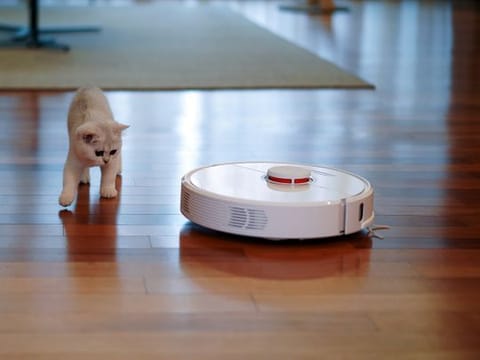What if your home could clean itself with the press of a button? It's possible with robot vacuum cleaners.