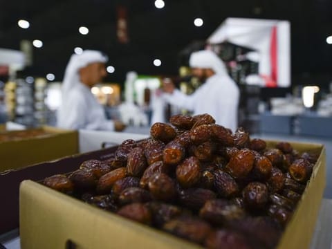 In Pictures: Liwa date festival and auction 