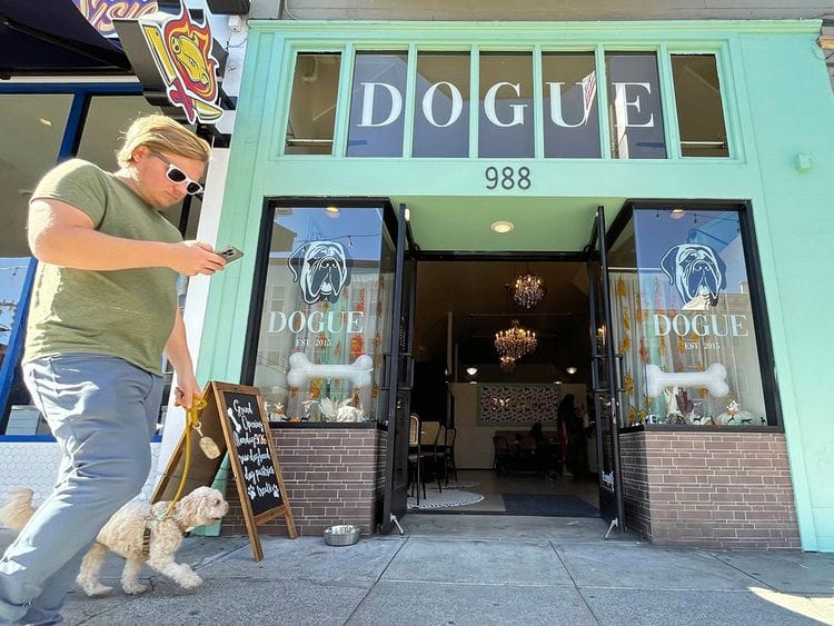 San_Francisco_Dog_Restaurant_02979