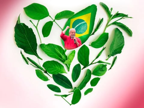 Environmentalists and sustainable investors have cheered the victory of Brazilian President-elect Luiz Inacio Lula da Silva, who has promised to protect the Amazon rainforest and restore Brazil's leadership on climate change