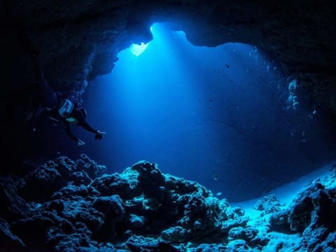 Environmentalists said the presence of dark oxygen showed just how little is known about life at these extreme depths, and supported their case that deep-sea mining posed unacceptable ecological risks. (A view of the Mariana Trench for illustrative purposes only)

