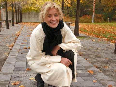 insta/ sharonstone
