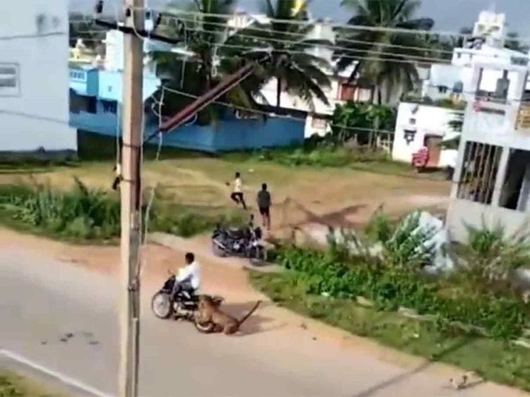 Leopard attacks villagers in Mysuru