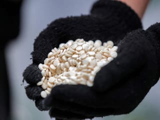 Saudi customs foil smuggling of over 400,000 amphetamine pills hidden in sheep wool