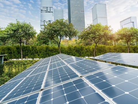 To make up for possible public spending cuts, private sector support must be mobilized on clean energy priorities. 