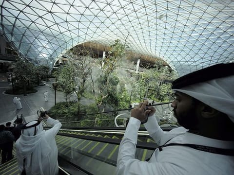 Look: Qatar unveils mini forest inside airport terminal ahead of FIFA World Cup