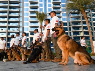 Dubai Fitness Challenge: A walk with the K9 unit
