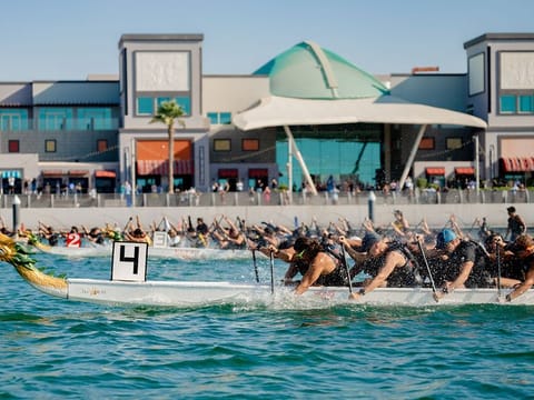 The EDBF Euro Cup Dragon Boat Championship will return to the Waterfront Market, Deira, from December 9-11. 