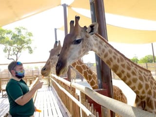 Dubai Safari turns 5, welcomes 153 newborns of endangered animals