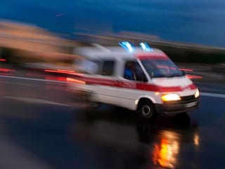 Five in intensive care in France after suspected pesto poisoning