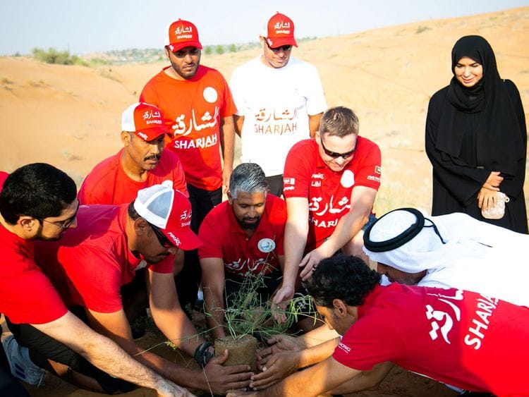 f1-athletes-plant-trees-in-sharjah-2-1671279420558