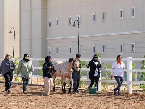 The Dubai Women Establishment (DWE) recently organised the eighth edition of the “Leadership Skills from an Equestrian Perspective” programme in collaboration with CHLOE Consulting.