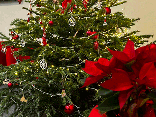 UAE: Five Gulf News readers share photos of their Christmas trees décor at home and in the office
