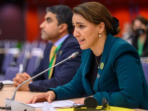“This is going to be an all-inclusive COP,” Almheiri said on Thursday.