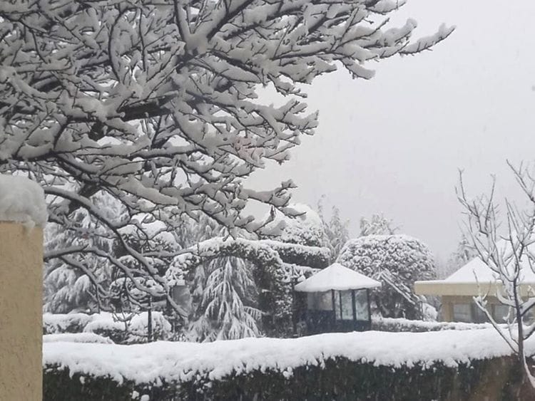 WPK PAK SNOW 4-1640607026785